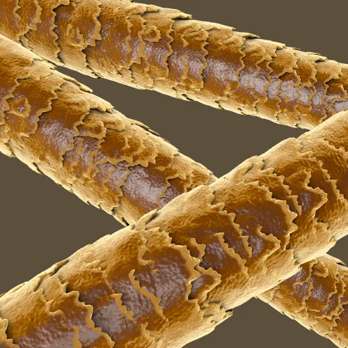 IlSaloneDiMilano Ингредиент Keratin